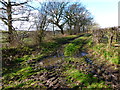 Farm track north of Lower Bordean