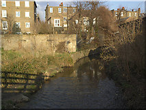 TQ3874 : Manor Park: River Quaggy by Stephen Craven