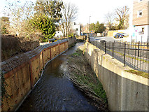 TQ3875 : Manor Park: River Quaggy (2) by Stephen Craven