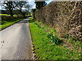 Unnamed lane going west from Bower Farm