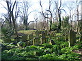 Tower Hamlets Cemetery Park