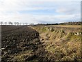 Ploughed fields, Rosemount