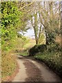 Lane near Tristford House