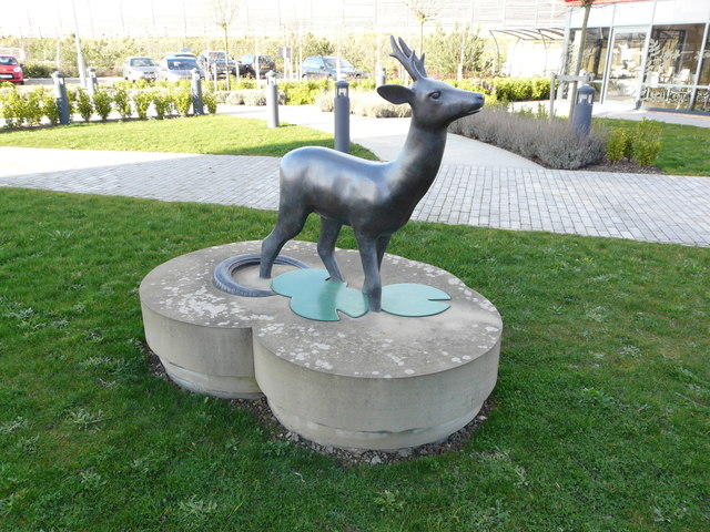 Deer Statue at Orchard Park Travelodge