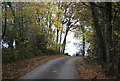 Bridleway to Lower North Park Farm