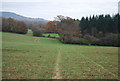 Footpath to Amons Copse