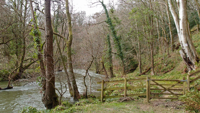 Gate at  Dyffryn Tawll