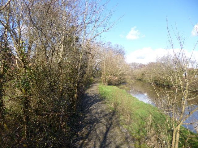 Little Copse, New Forest - area information, map, walks and more