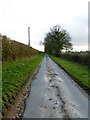 Lane leading south from Old Down Farm