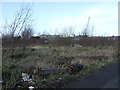 Waste ground off Lincoln Road, Birkenhead