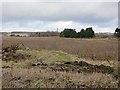 Berry fields, Cairns of Aberbothrie