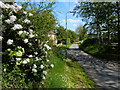 Lane in the village of Chadwell