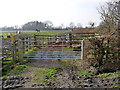 Cattle holding pen, near Wymeswold