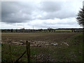 Fields near St Wandregesilius Church