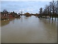 SU6189 : The Thames in Flood by Bill Nicholls