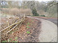 Path on Athlone Fields, Kenwood