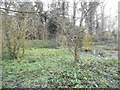 Pond on Athlone Fields, Kenwood