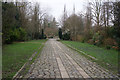 Capital Ring in Abney Park Cemetery