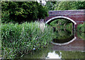 Bridge No 11 near Droitwich Spa, Worcestershire