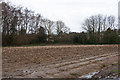 Field south of Bishopstoke Cemetery