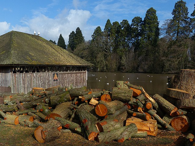 Boat house and logs, Tredegar House Park