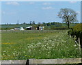 Fields east of Goadby Marwood