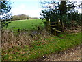 Footpath leaves byway south of Brightstone Lane