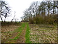 Footpath from Ropley Road reaches edge of woodland