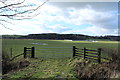 Farmland near Carse