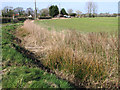 Overgrown ditch beside Hill Road