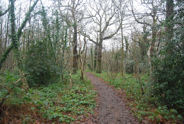 Capital Ring, Oxleas Wood © N Chadwick :: Geograph Britain and Ireland