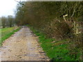 Looking east towards Lodge Farm from footpath junction