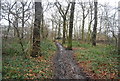 Green Chain Walk, Shepherdleas Wood