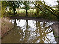 Waterlogged bend on Kitcombe Lane