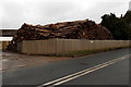 SO5518 : Large pile of logs near Whitchurch by Jaggery