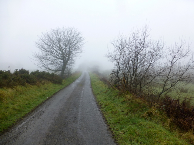 Misty along Greenhill Road