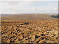 NY7943 : Moorland west of Killhope Cross (2) by Mike Quinn