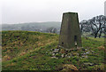 SK1154 : Trig point at Wetton Low by Trevor Littlewood