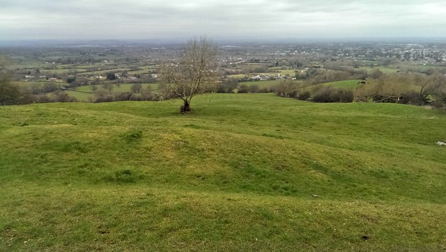 View 315° from Leckhampton Hill, Leckhampton