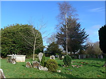 TQ0934 : Holy Trinity, Rudgwick: churchyard (ii) by Basher Eyre