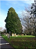 TQ0934 : Holy Trinity, Rudgwick: churchyard (xii) by Basher Eyre