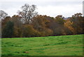 Countryside near Fernhurst