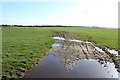 Farmland at Kildrochet Mains