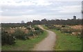 Sandlings Walk, Rushmere Heath