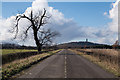 West along the old Alloa Road