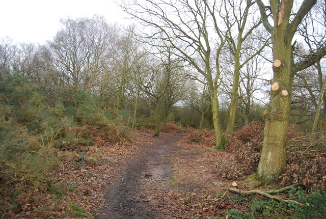 Rushmere Heath, Suffolk Coastal - area information, map, walks and more