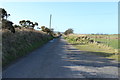 Road to Stranraer near Little Lochans