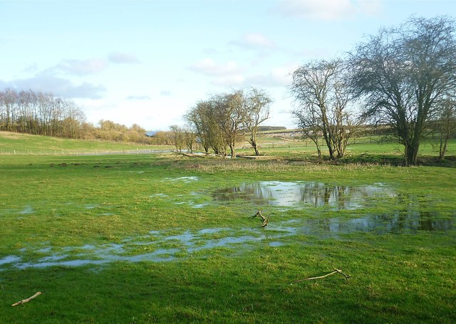 Flooded meadows in East Ilsley