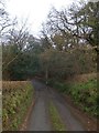 The wooded valley of a stream which rises on Broadmoor