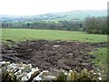 Farmland south of Binns Lane